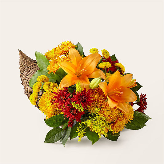 Feast of Color Cornucopia