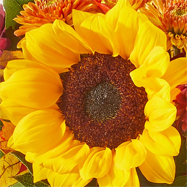 Sunny Side Bouquet