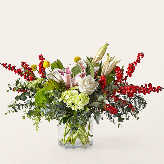 Ramo de bayas y brillo